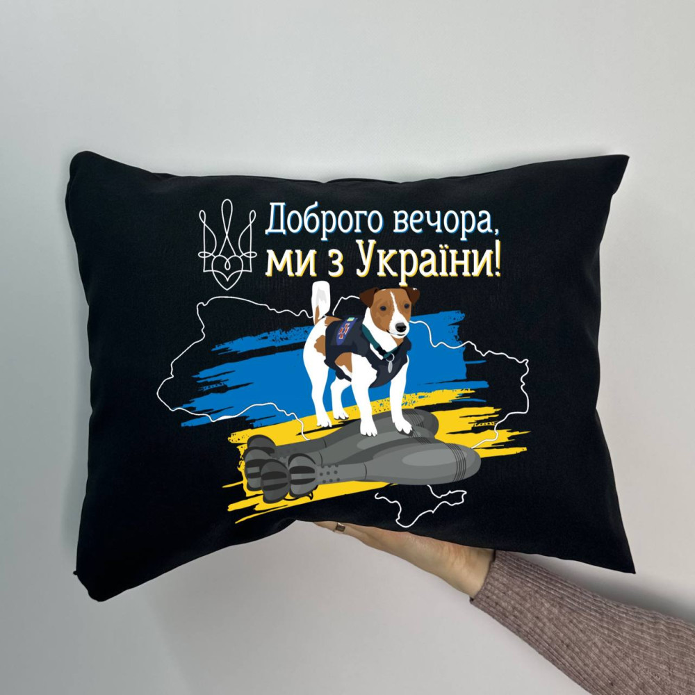 Подушка с принтом габардиновая Добрый вечер!, черная 35х45 (1801) Подушка с принтом габардиновая Добрый вечер!, черная 35х45 (1801)