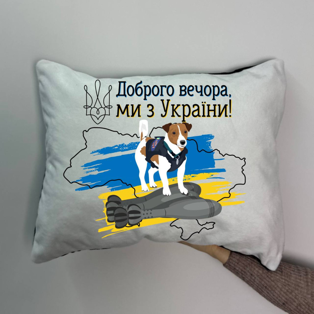 Подушка с принтом плюшевая Добрый вечер! 35х45 (1803)